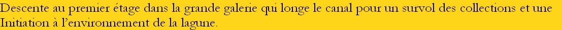 Descente au premier étage dans la grande galerie qui longe le canal pour un survol des collections et une 
Initiation à l’environnement de la lagune.
