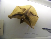 venise 1 2013 242.JPG