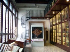 venise 1 2013 206.JPG