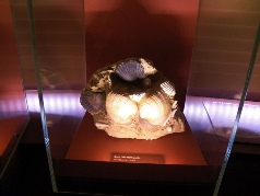 Venise 3 2013 072.JPG