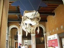 venise 1 2013 288.JPG