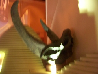 venise 1 2013 152.JPG