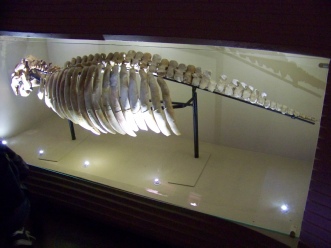 venise 1 2013 151.JPG