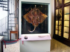 venise 1 2013 209.JPG