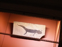 Venise 3 2013 089.JPG