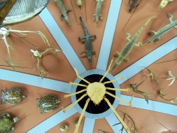 venise 1 2013 197.JPG