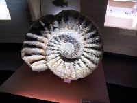 Venise 3 2013 073.JPG