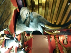 venise 1 2013 171.JPG