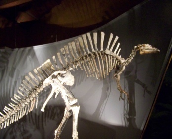 venise 1 2013 123.JPG